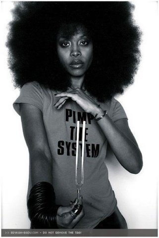 erykahbadu054.jpg